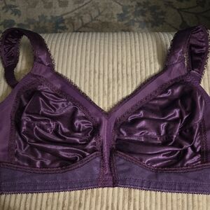 Playtex 38D 18 Hr Plum Bra